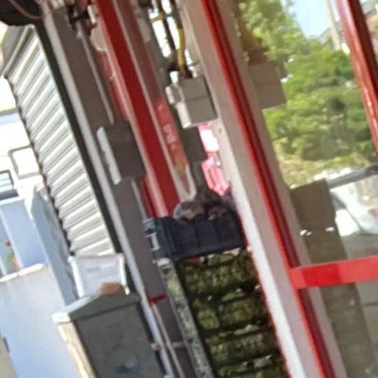 Komagene Ürünlerin Uygunsuz Şartlarda Saklanması Sağlığımızı Tehdit Ediyor