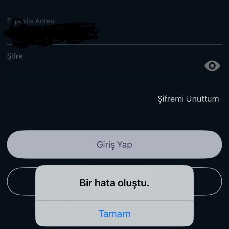 Bitexen TR'den Habersiz Coin Transferi Ve Global Hesaba Erişim Sorunu