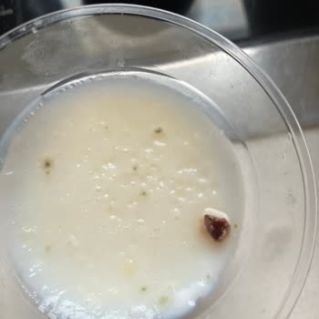 Oda Temizliği Ve Yemek Hijyeni Konusunda Hayal Kırıklığı