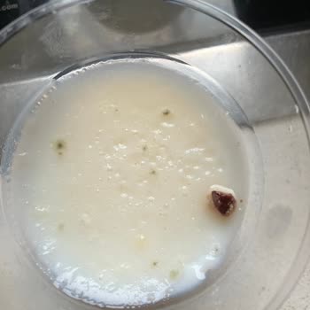 Oda Temizliği Ve Yemek Hijyeni Konusunda Hayal Kırıklığı