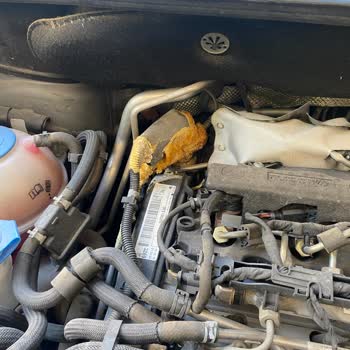Volkswagen Caddy AdBlue Hortumu Sıvı Kaçağı Ve Donma Sorunu