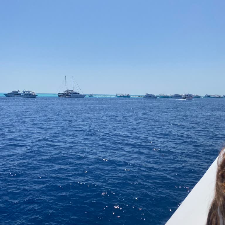 Tekne Turunda Aşırı Kalabalık, Kötü Organizasyon Ve Müşteri Memnuniyetsizliği