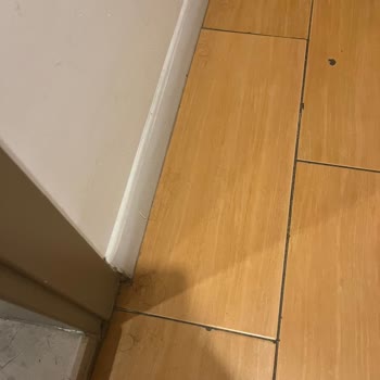 Otelin Hijyen Eksikliği Ve İlgisiz Yönetim Büyük Hayal Kırıklığı Yaşattı