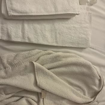 Otelin Hijyen Eksikliği Ve İlgisiz Yönetim Mağduriyeti