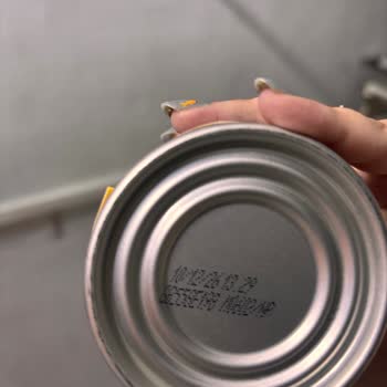 Aldığım Proline Yaş Mama Kurtlu Çıktı, Kedilerimin Sağlığı Tehlikeye Girdi