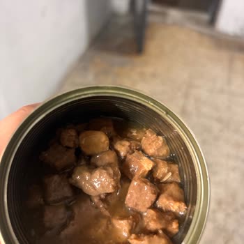 Kapalı Ve Tarihi Geçmemiş Proline Yaş Mama Kurtlu Çıktı!