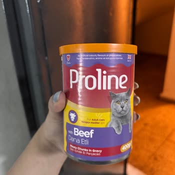 Kapalı Ve Tarihi Geçmemiş Proline Yaş Mama Kurtlu Çıktı!