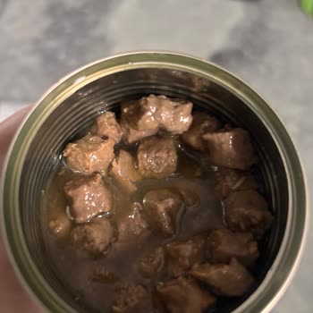 Kapalı Ve Tarihi Geçmemiş Proline Yaş Mama Kurtlu Çıktı!