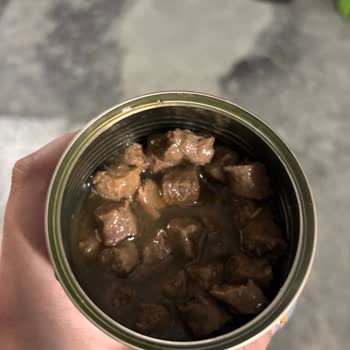 Kapalı Ve Tarihi Geçmemiş Proline Yaş Mama Kurtlu Çıktı!