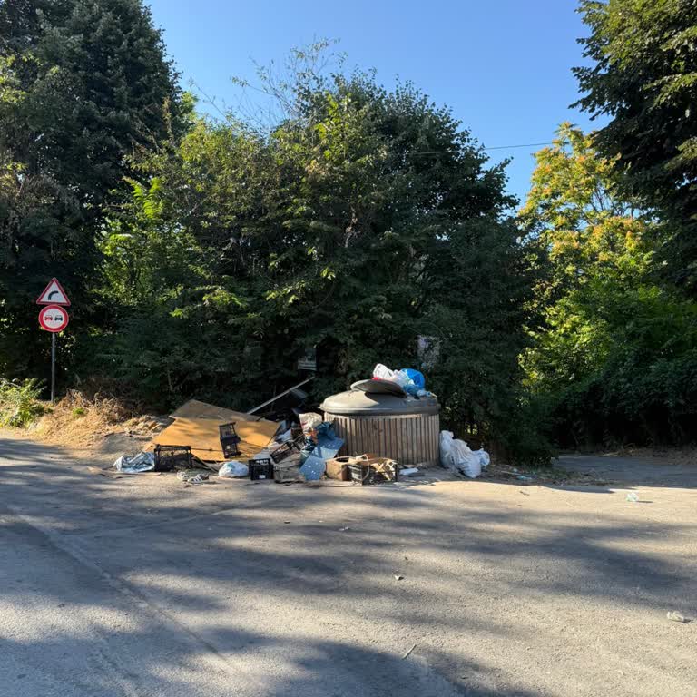 Beykoz'da Çöp Toplama Sıklığının Artırılması Talebi