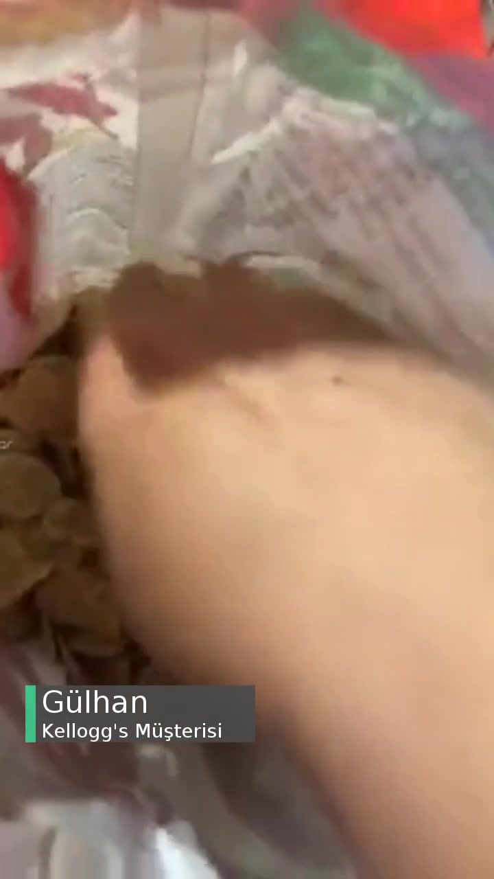 Kellogg's Ürün Hatalı Meyve Yok İçinde! videonun kapak resmi