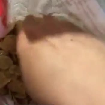 Kellogg's Ürün Hatalı Meyve Yok İçinde!