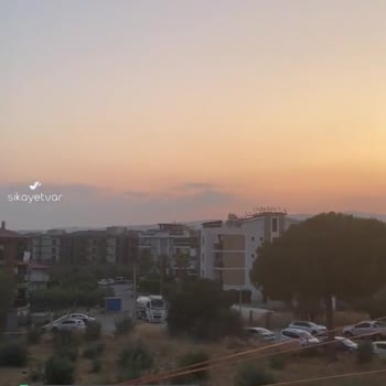 Kuşadası Belediyesi Köpek Havlaması