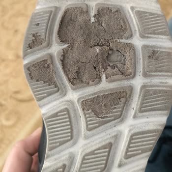 Üç Ayda Yırtılan Ayakkabıya Garanti Kapsamı Dışı Yanıt