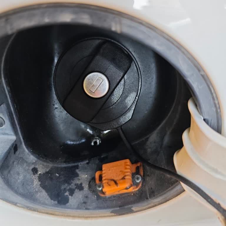 Islak Fiş Ve Şüpheli Motorin Kokusu: Güvenim Sarsıldı