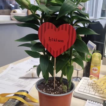 Görselden Farklı Ürün Ve Yanıltıcı Sipariş Deneyimi