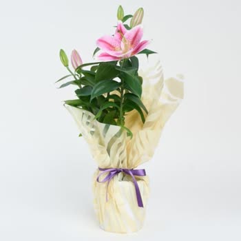 Görselden Farklı Ürün Ve Yanıltıcı Sipariş Deneyimi