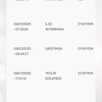 PTT Kargo Teslim Etmedi, Dolap Müşteri Hizmetine Ulaşamıyorum