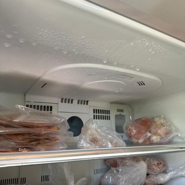 Prizlerde Sürekli Elektrik Sorunu Ve Müdahale Eksikliği Yaşıyoruz