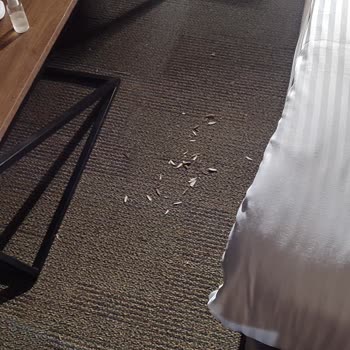 Mardiva Resort Otelde Hijyen, Hizmet Ve İade Problemleri