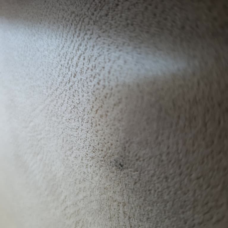 Baza Kumaşı Yırtık Geldi Değişim Süreci Mağdur Etti