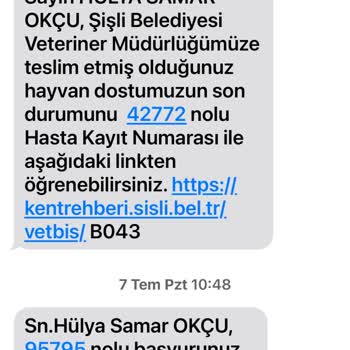 Kedi Kısırlaştırma Ve Temizlik Taleplerine Cevap Alamıyorum