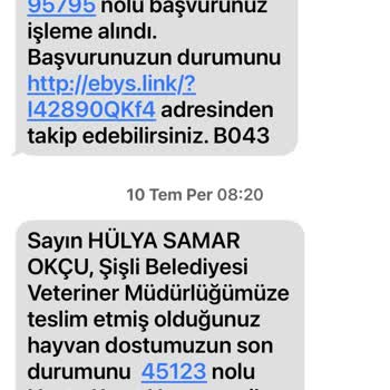 Kedi Kısırlaştırma Ve Temizlik Taleplerine Cevap Alamıyorum
