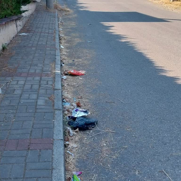 Altınkum Caddesi'nde Temizlik Eksikliği Ve İlgisizlik