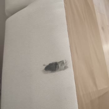 Aldığımız Koltuklarda Hasar Ve Yetersiz Müşteri Hizmeti