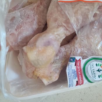 Son Kullanma Tarihi Geçmemiş Tavukta Kötü Koku Ve Yeşillenme Şoku