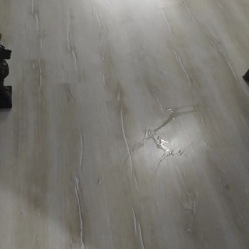 Philips Aqua Trio 7000: Eksik Belgeler Ve İade Sorunu
