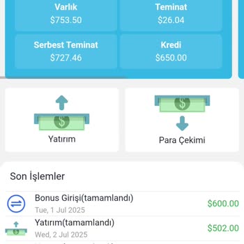 Yatırım Sonrası Hesap Yönetimi Ve Para Çekme Sorunları Yaşadım