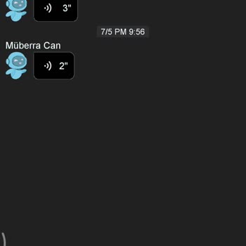 Üründe Şarj Ve Sesli Mesaj Sorunu Yaşadım, İade Talebim Reddedildi