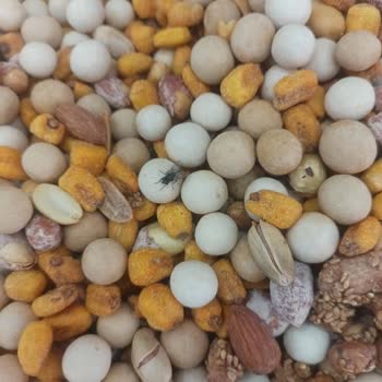 Makbul Mağazasında Gıdaların Üzerinde Çok Sayıda Sinek Hijyen Sorunu Yaşanıyor