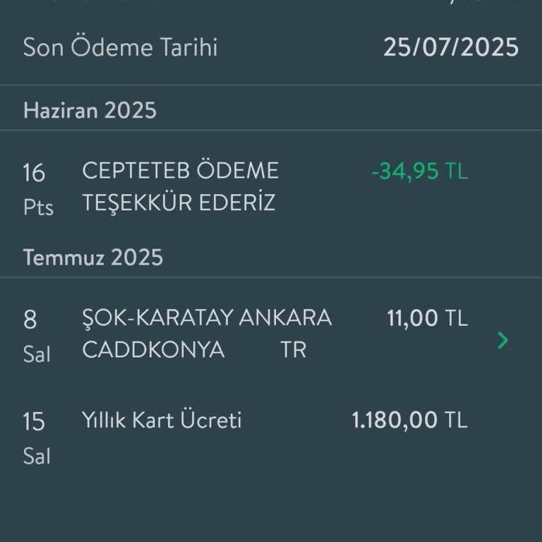 Yıllık Kart Ücretinin İadesini Talep Ediyorum