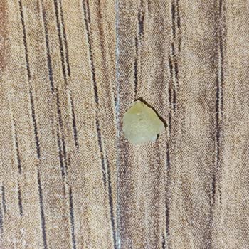 Aldığımız Noodle İçinden Sert Cisim Çıktı, Kardeşim Kustu