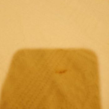 Gloria Tibi Gümbet Otelde Hijyen Eksikliği Ve Ücret İadesi Sorunu