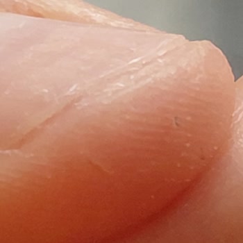 Tarım Kredi Makarna İçinden Çıkan Siyahlıklar