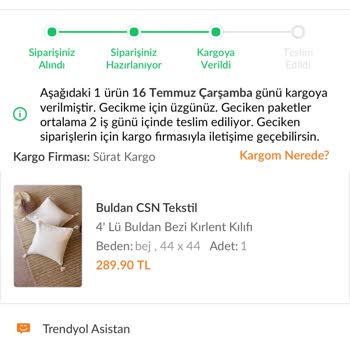 Sürat Kargo'da Teslim Edilmeyen Kargolar Ve Yanlış Sistem Kayıtları Nedeniyle Yaşanan Mağduriyet