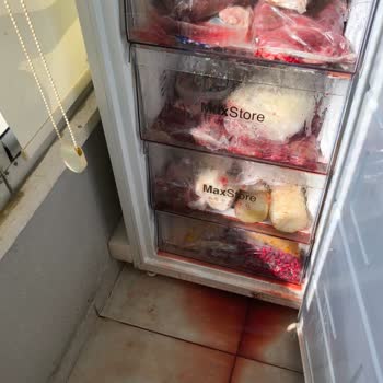 Arçelik Caused My 286 L Freezer to Fail and Ruined My Meat