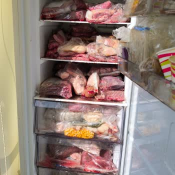 Arçelik Caused My 286 L Freezer to Fail and Ruined My Meat