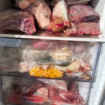 Arçelik Caused My 286 L Freezer to Fail and Ruined My Meat