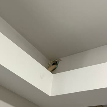 LG Klima Kurulumunda Amatörlük Ve İlgisizlik Mağduriyeti