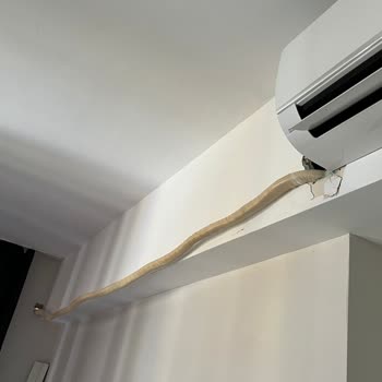 LG Klima Kurulumunda Amatörlük Ve İlgisizlik Mağduriyeti