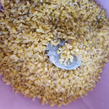 Arbel Bulgurun İçinden Çıkan Böcek Larvası Ve Sağlıksız Ürün Şikayeti