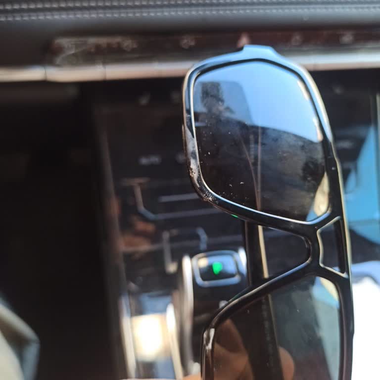 Mustang Glasses Melted in Their Own Case