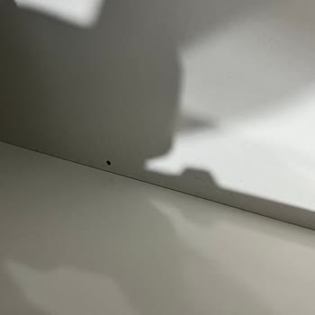 Modalife Düğün Paketi Teslimatında Gecikme, Eksik Ürün Ve Kurulum Sorunları Yaşadık