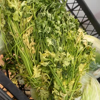 A101 Sancaktepe Şubesinde Taze Olmayan Ürünler Ve İlgisiz Personel Sorunu