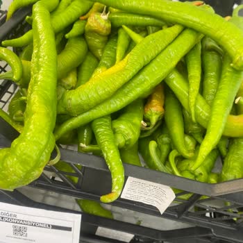 A101 Sancaktepe Şubesinde Taze Olmayan Ürünler Ve İlgisiz Personel Sorunu