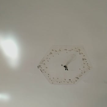 Kartonpiyer Düşmesi Sonrası Sigorta Mağduriyeti Ve İletişimsizlik